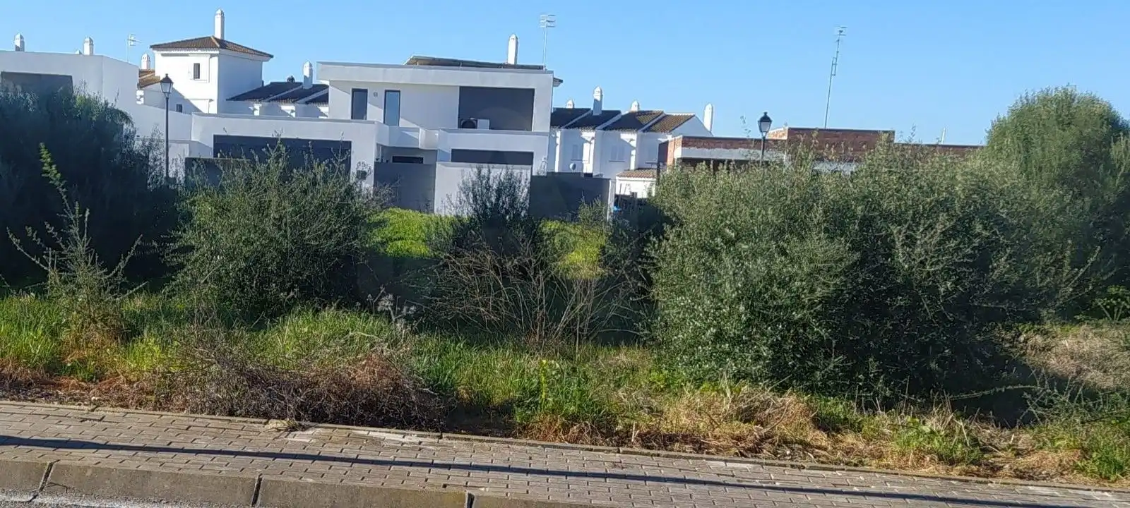 Terreni e lotti in vendita a Martín Miguel, imagen 9