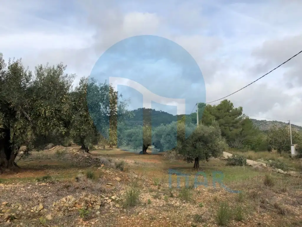 Finca rústica en venda en L'Ampolla