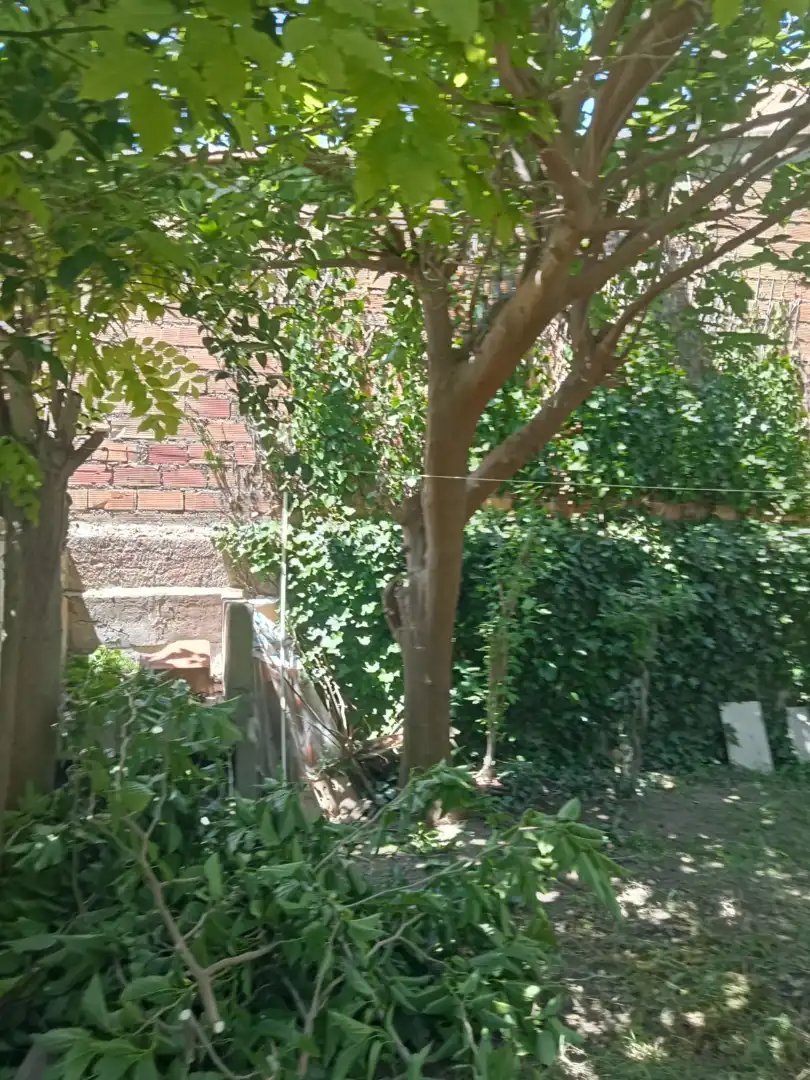 Garden of Houses for sale in Ejea de los Caballeros  with Private garden and Furnished
