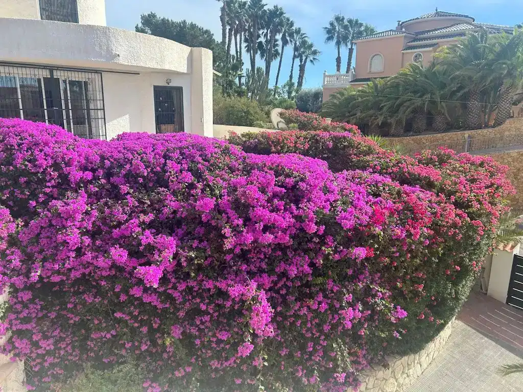 Vista exterior de Pis en venda en El Campello amb Aire condicionat, Jardí privat i Piscina