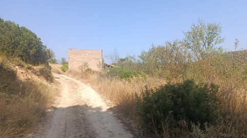 Terreno 7 Hectareas BATEA, immagine 5