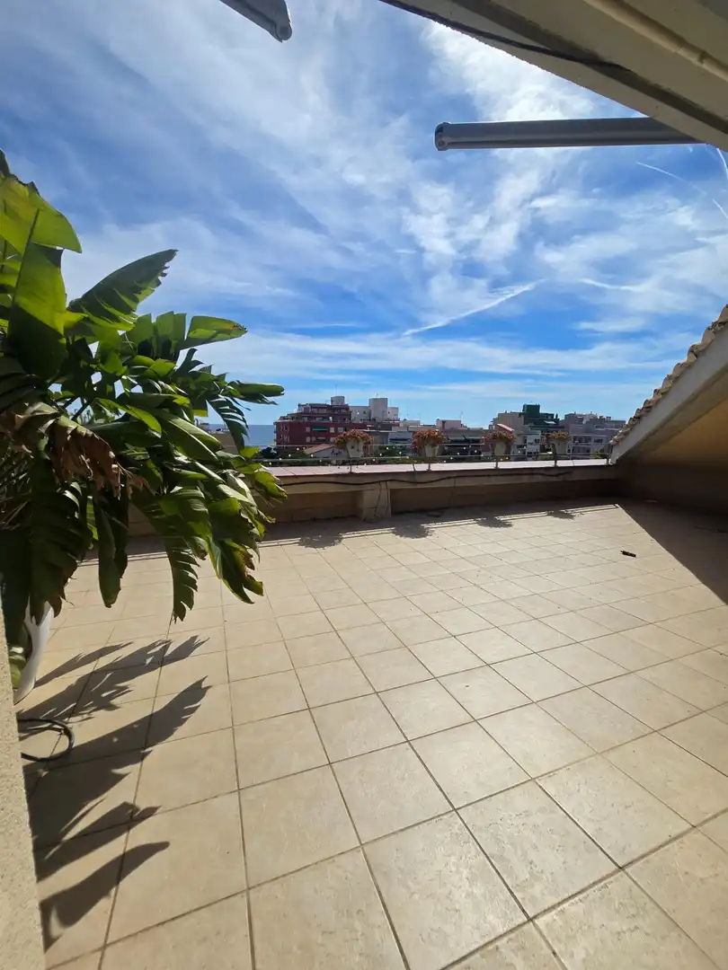 Dúplex con terraza en alquiler en Calle MANILA 23, imagen 69