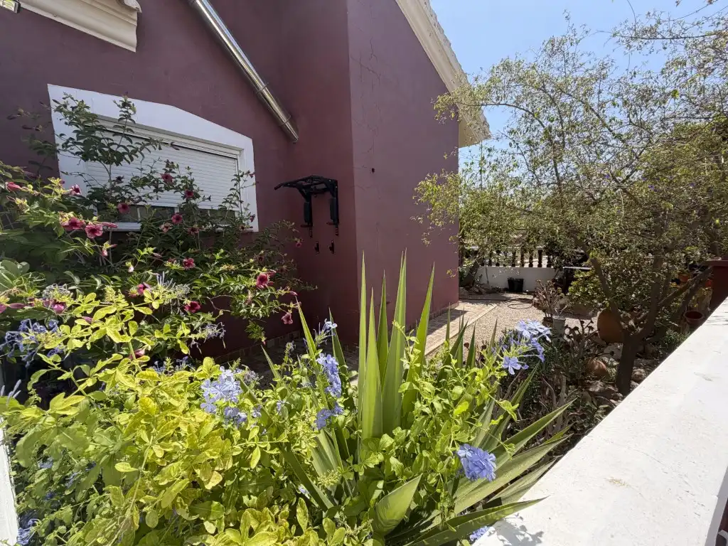 Houses for rent in Calle Refino-Estrecho San Gines, Llano del Beal