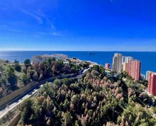 Vista exterior de Apartament en venda en Benidorm amb Jardí privat, Terrassa i Piscina comunitària