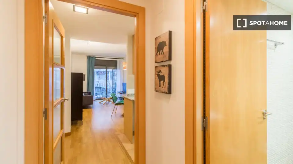 Appartamento con terrazza in affitto a Eixample, imagen 2