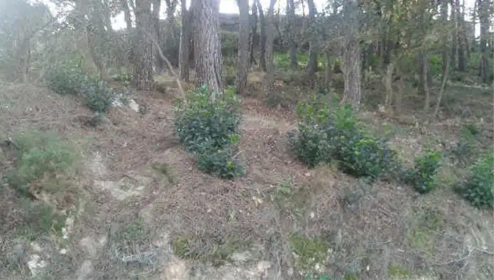Rural land for sale in C/ Avets          -  Ur Can Fornaca  -, imagen 6