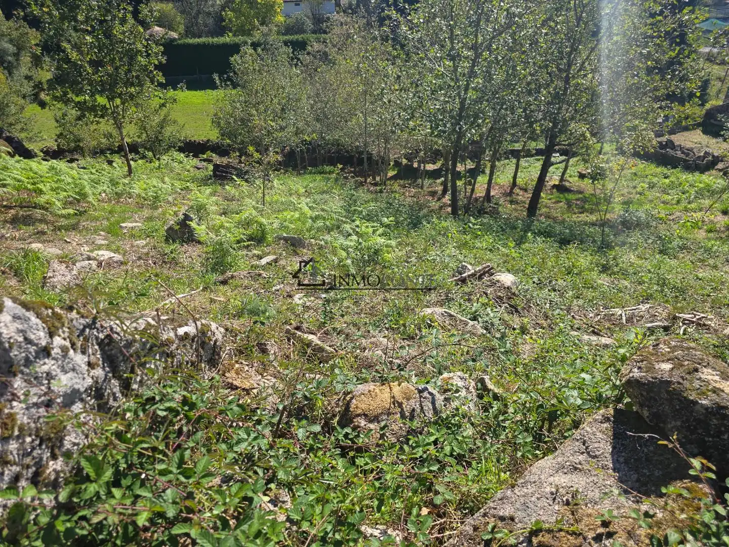 Terrenys i solars en venda a Cotobade, imagen 9