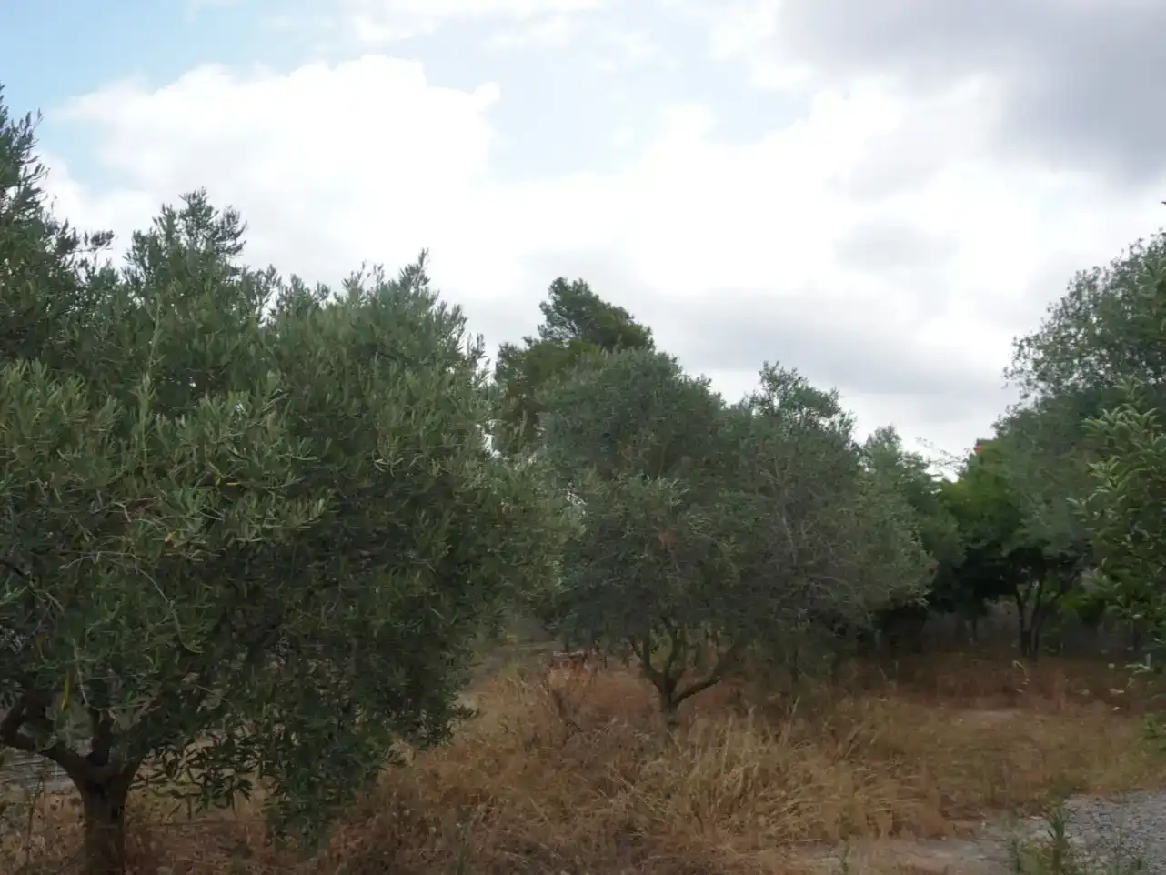 Casa o xalet en venda en Sant Josep de sa Talaia amb Aire condicionat i Piscina