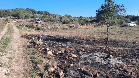 Foto 3 de Finca rústica en venda a Carrer Prat de la Riba, 7, Rodonyà, Tarragona