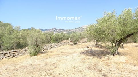 Finca rústica en venta en Xerta, immagine 3