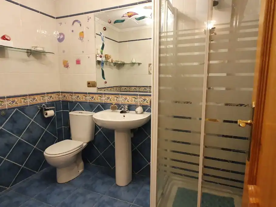 Bathroom of Houses for sale in Alegría-Dulantzi, Araba - Álava