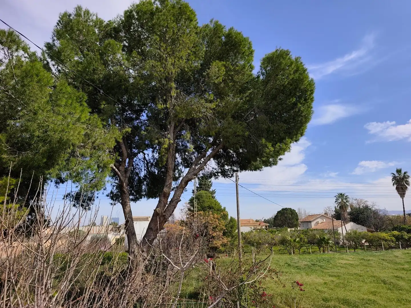 Chalet con terraza en venta en Camino Hondo, imagen 21