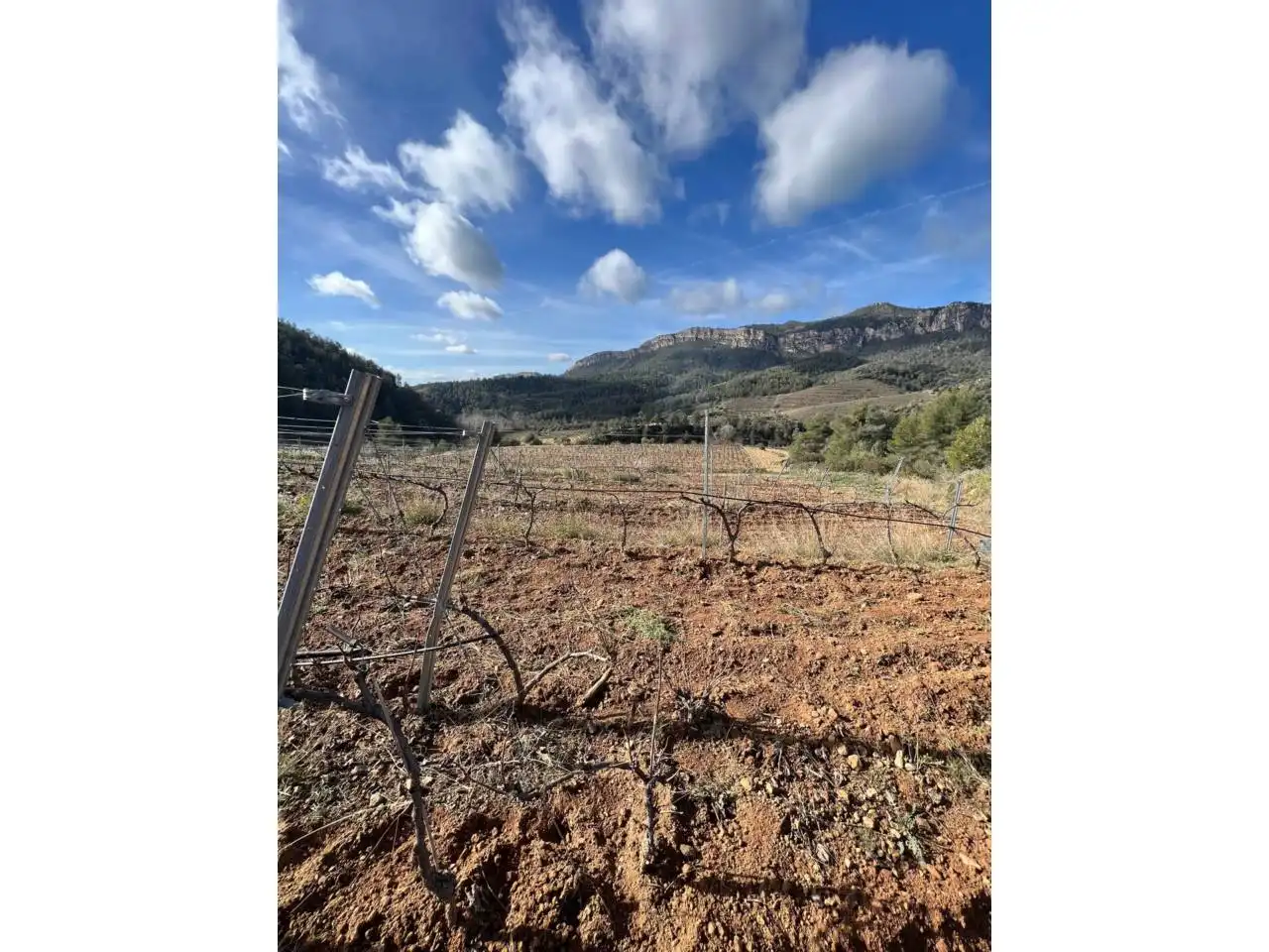 Terreno en venta en La Vilella Baixa