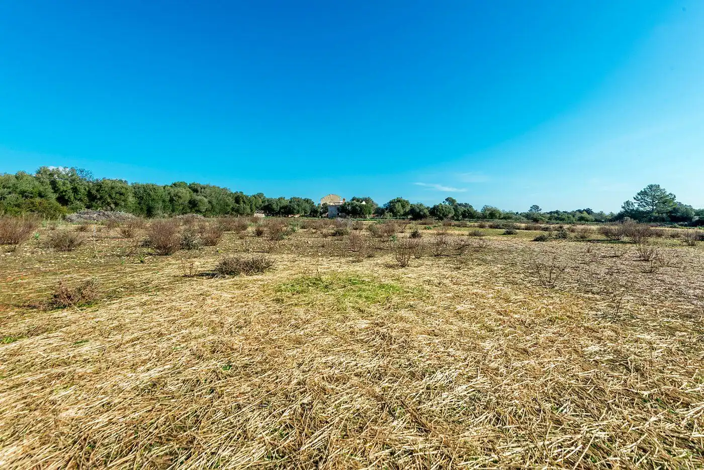 Country homes for sale in Inca