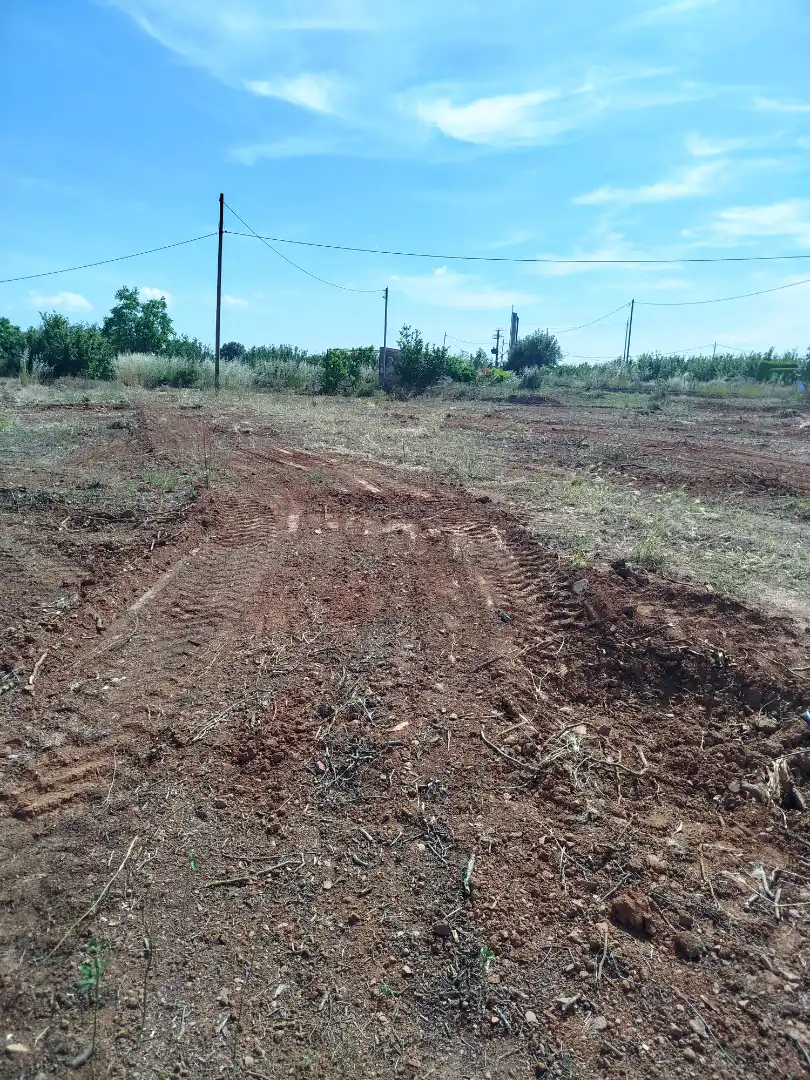 Land for sale in Vilallonga del Camp