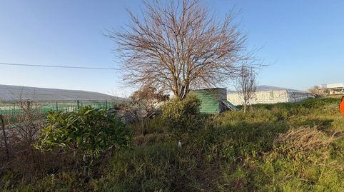 Foto 5 de Residencial en venta en Del Alcornocal, Chipiona Norte, Chipiona