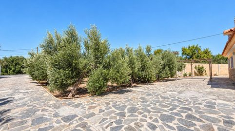 Foto 5 de Finca rústica en venda a Tíjola, Almería