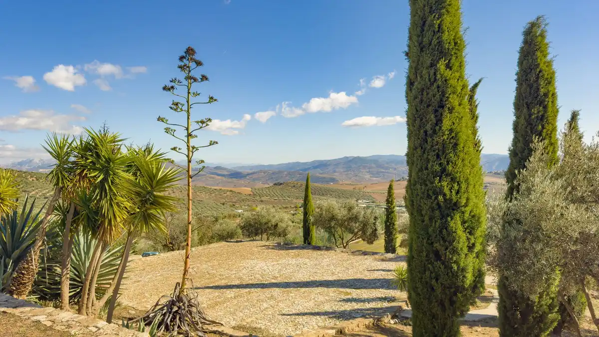 Jardí de Finca rústica en venda en Villanueva de la Concepción amb Aire condicionat, Jardí privat i Terrassa