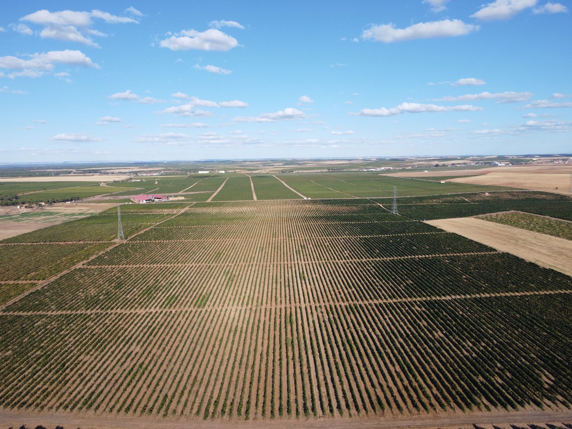 Land for sale in Rueda