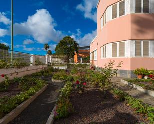 Vista exterior de Casa o xalet en venda en Las Palmas de Gran Canaria amb Jardí privat