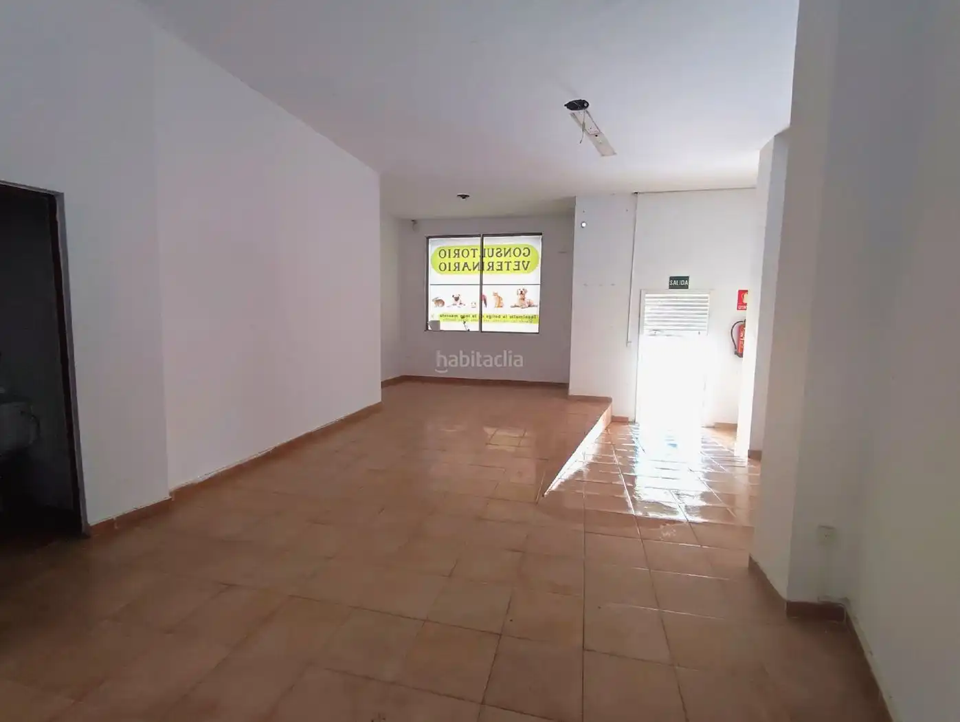 Gewerbefläche zur Miete in Avinguda del Camí Nou 27, imagen 3