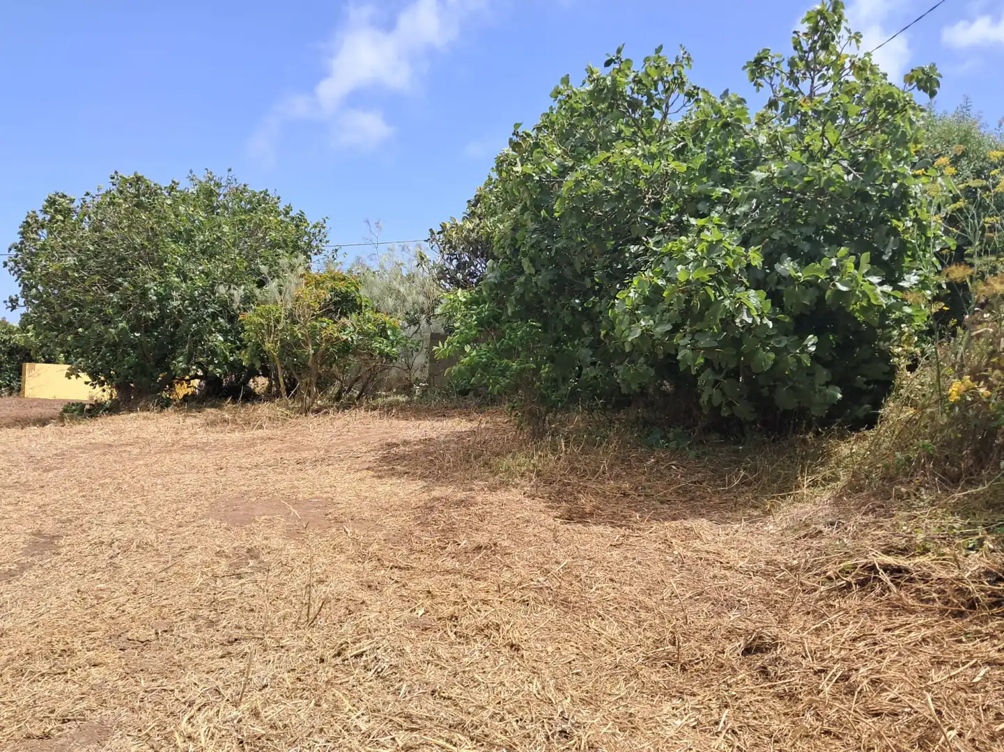 Casa o xalet en venda en San Cristóbal de la Laguna amb Jardí privat