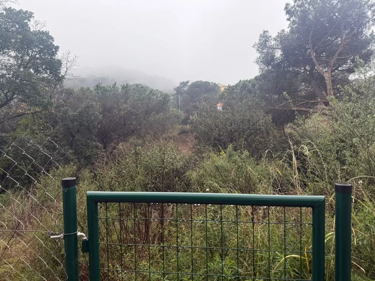 Terreno residenziale in vendita a Can Massuet del Far, imagen 2