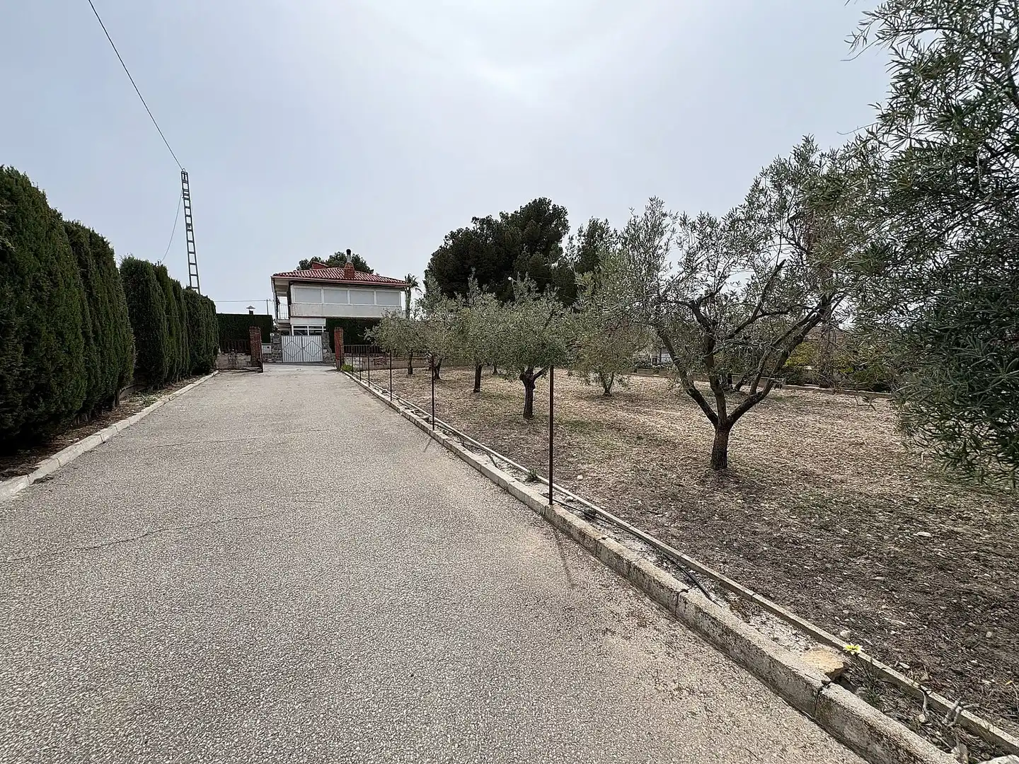 Finca rústica en venta en Petrer
