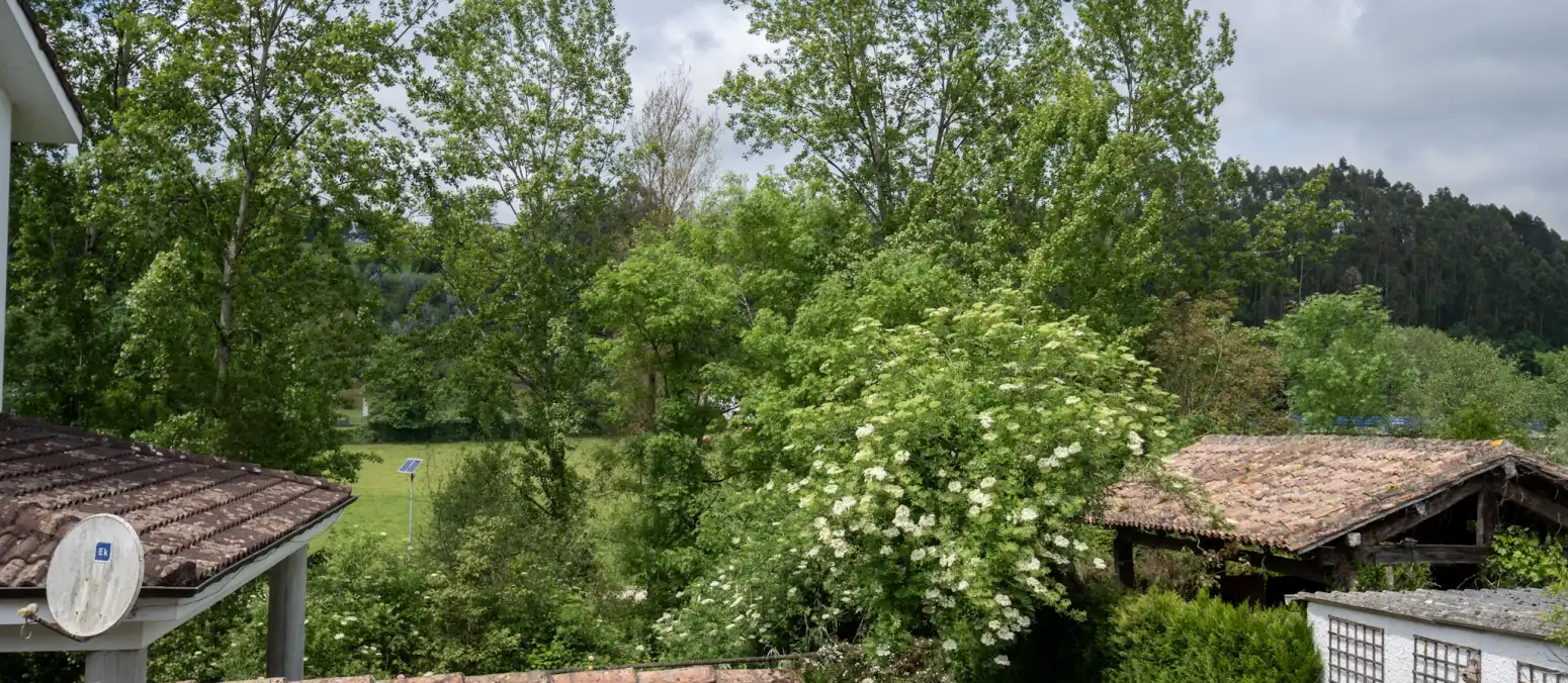 Jardí de Casa o xalet en venda en Villaviciosa amb Calefacció
