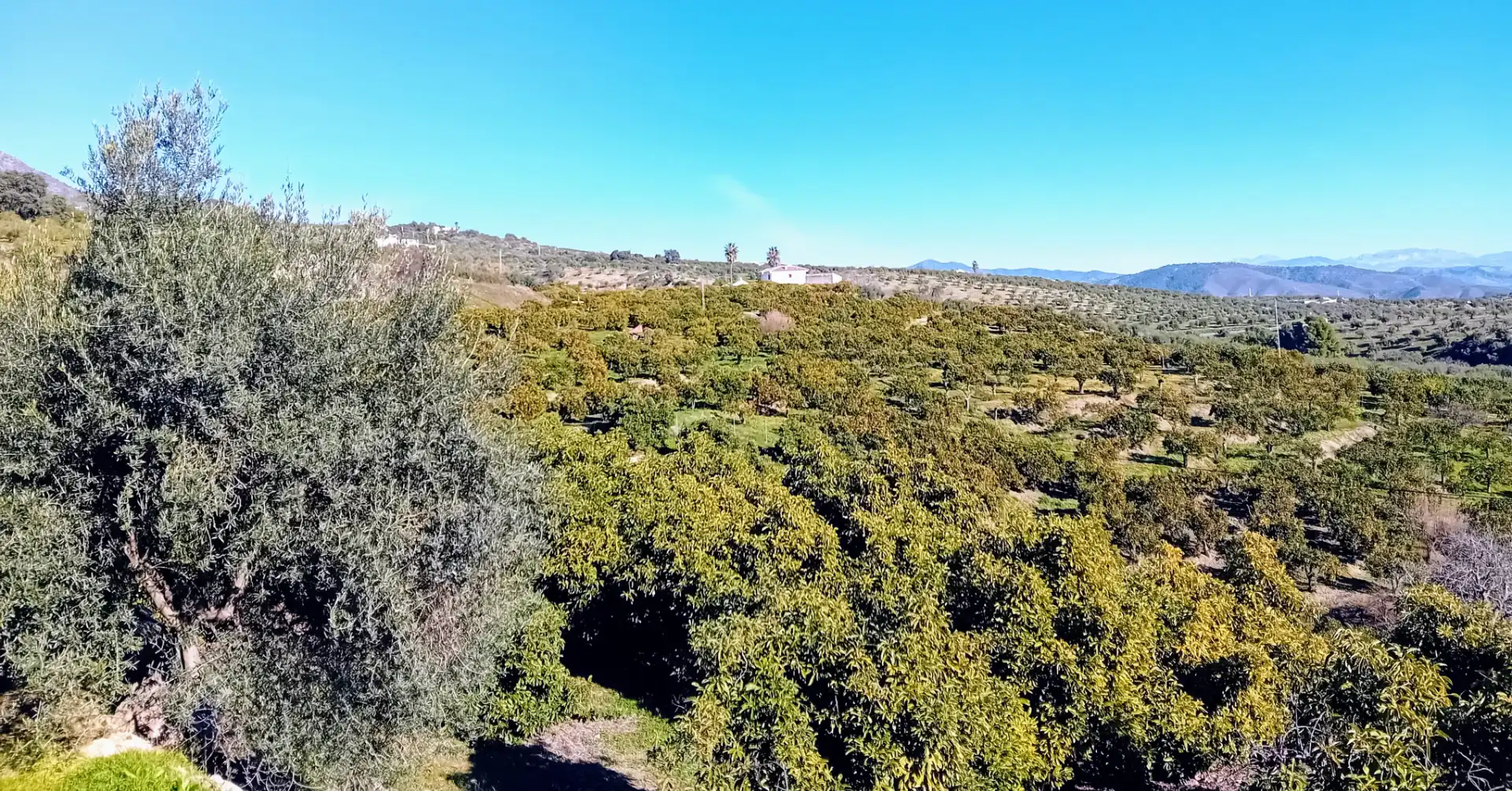Villa mit Terrasse zum Verkauf in Urbanizacion la Pasadilla, imagen 36