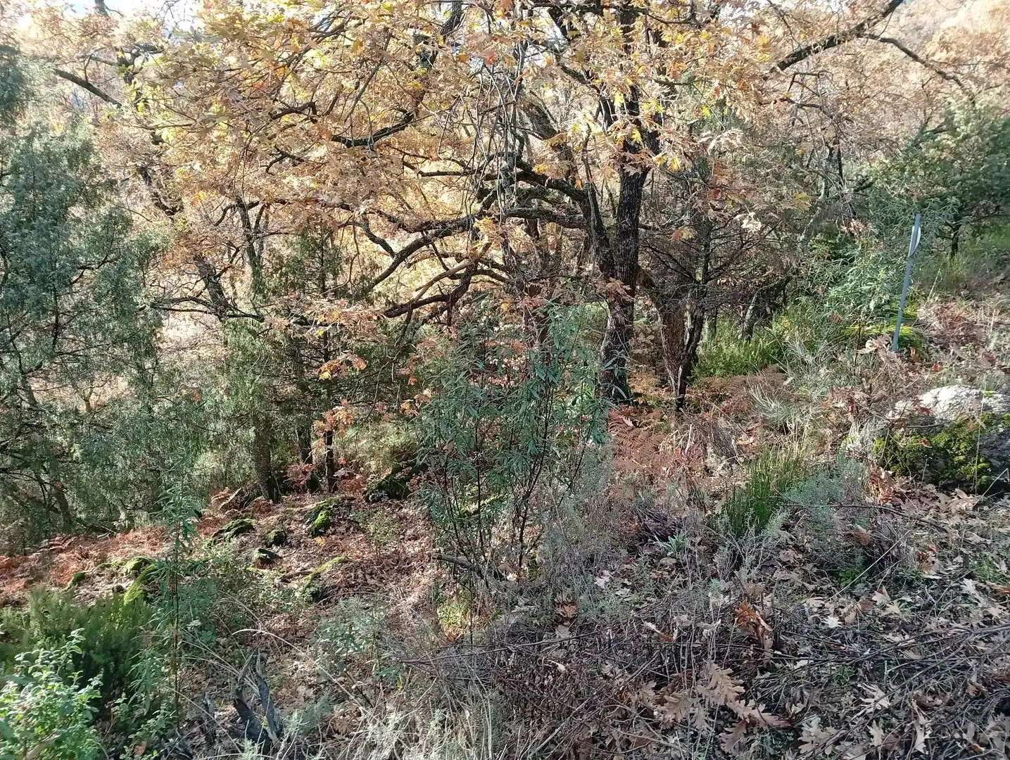 Terreni e lotti in vendita a Villanueva de la Vera, imagen 14