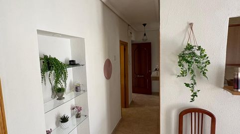 Foto 4 de Piso en venta en Este, Mérida