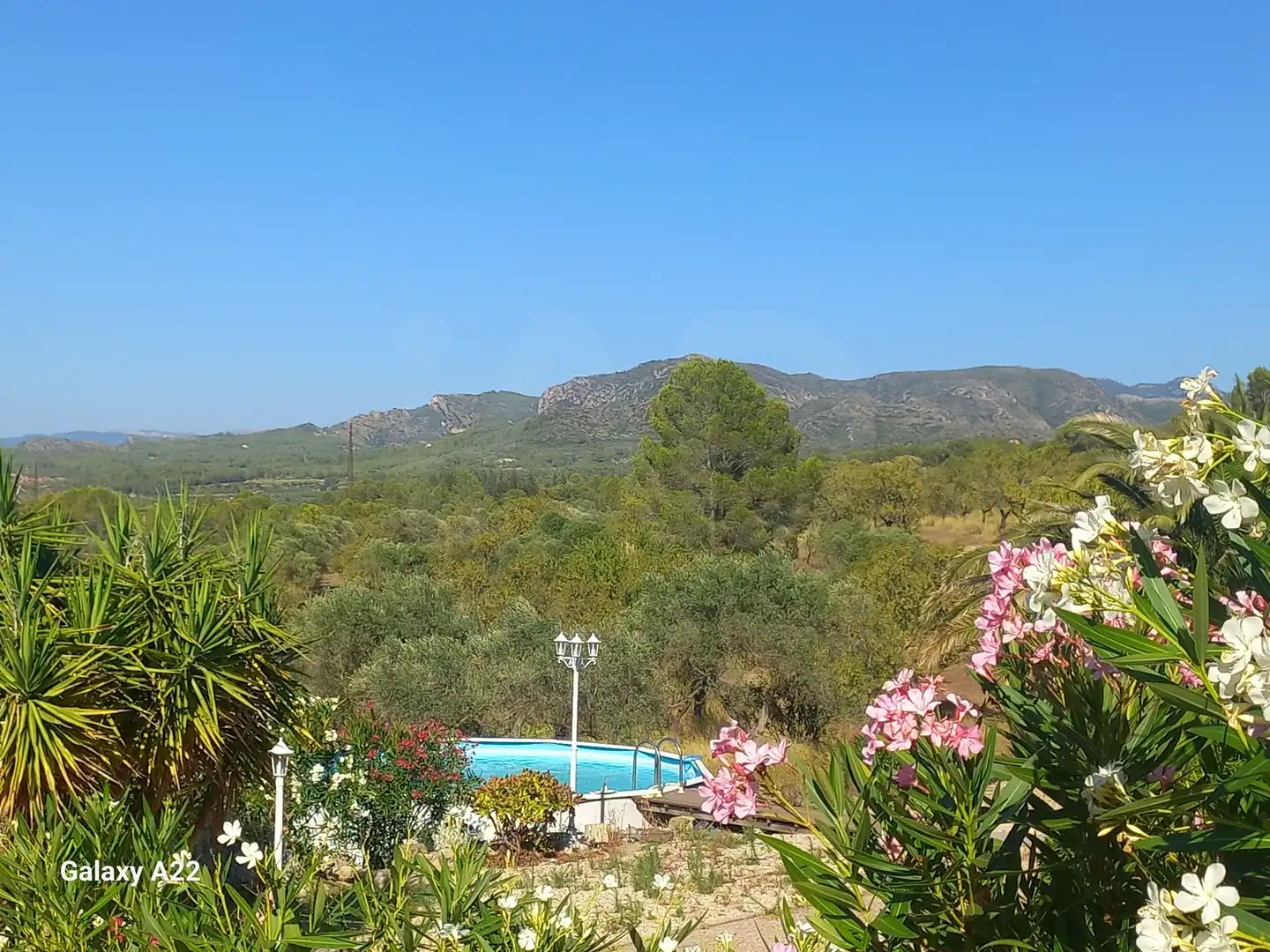Jardín de Casa o chalet en venta en Ginestar con Aire acondicionado, Calefacción y Terraza