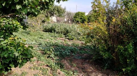 Foto 4 de Casa o xalet en venda a Las Lagunas - Campano, Cádiz