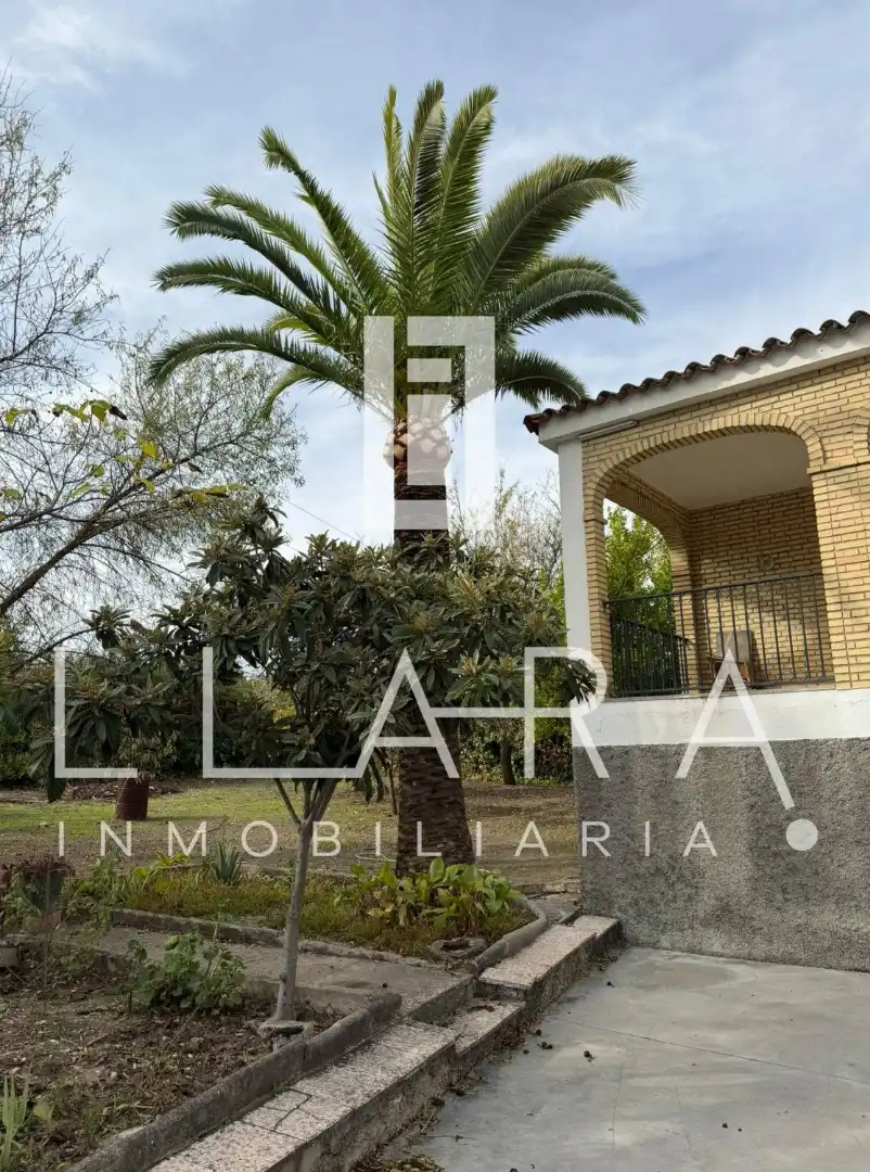 Vista exterior de Casa o chalet en venta en Lucena con Jardín privado, Piscina y Amueblado