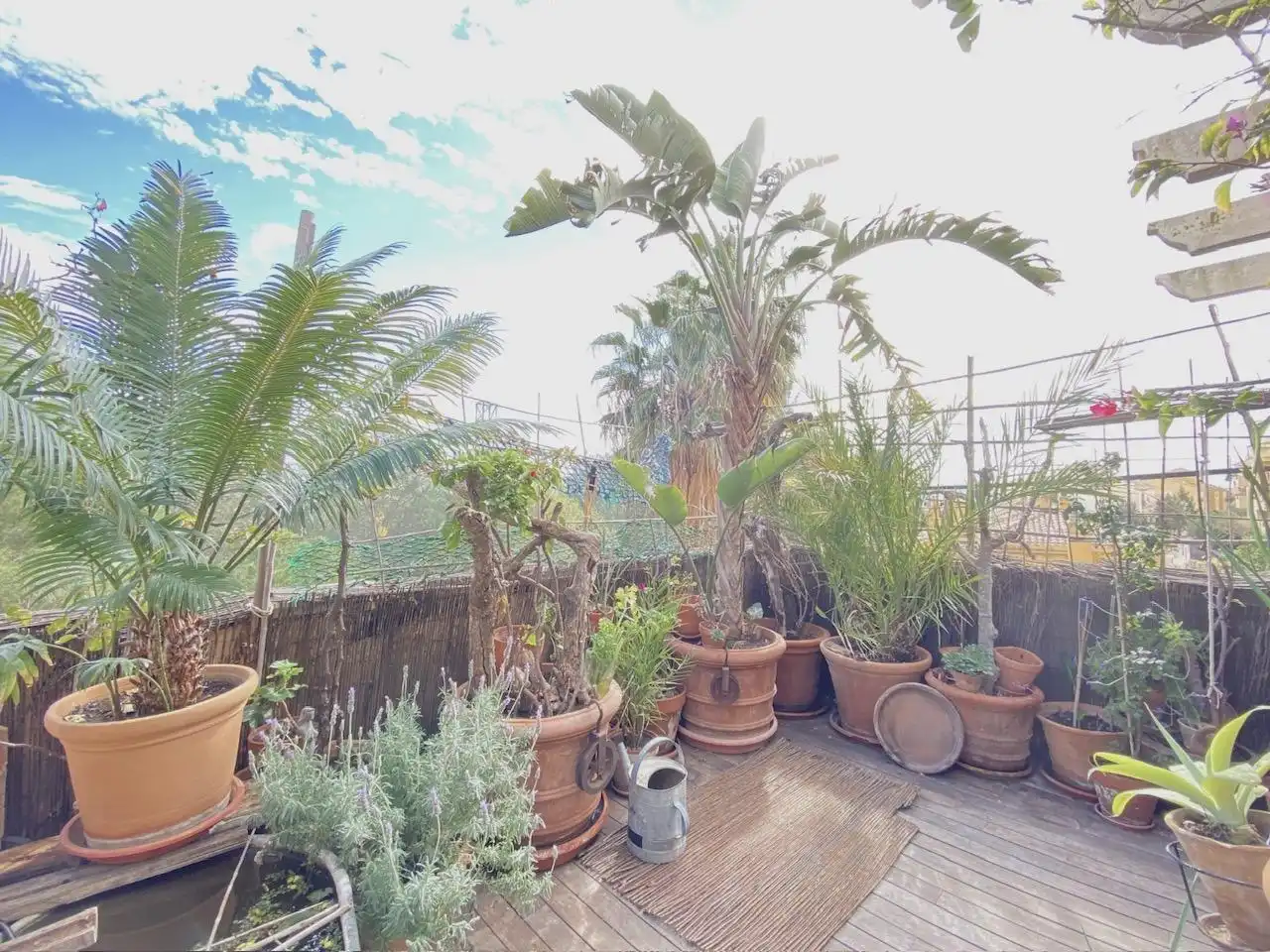 Terrasse von Erdgeschoss zum Verkauf in Altorreal - El Chorrico