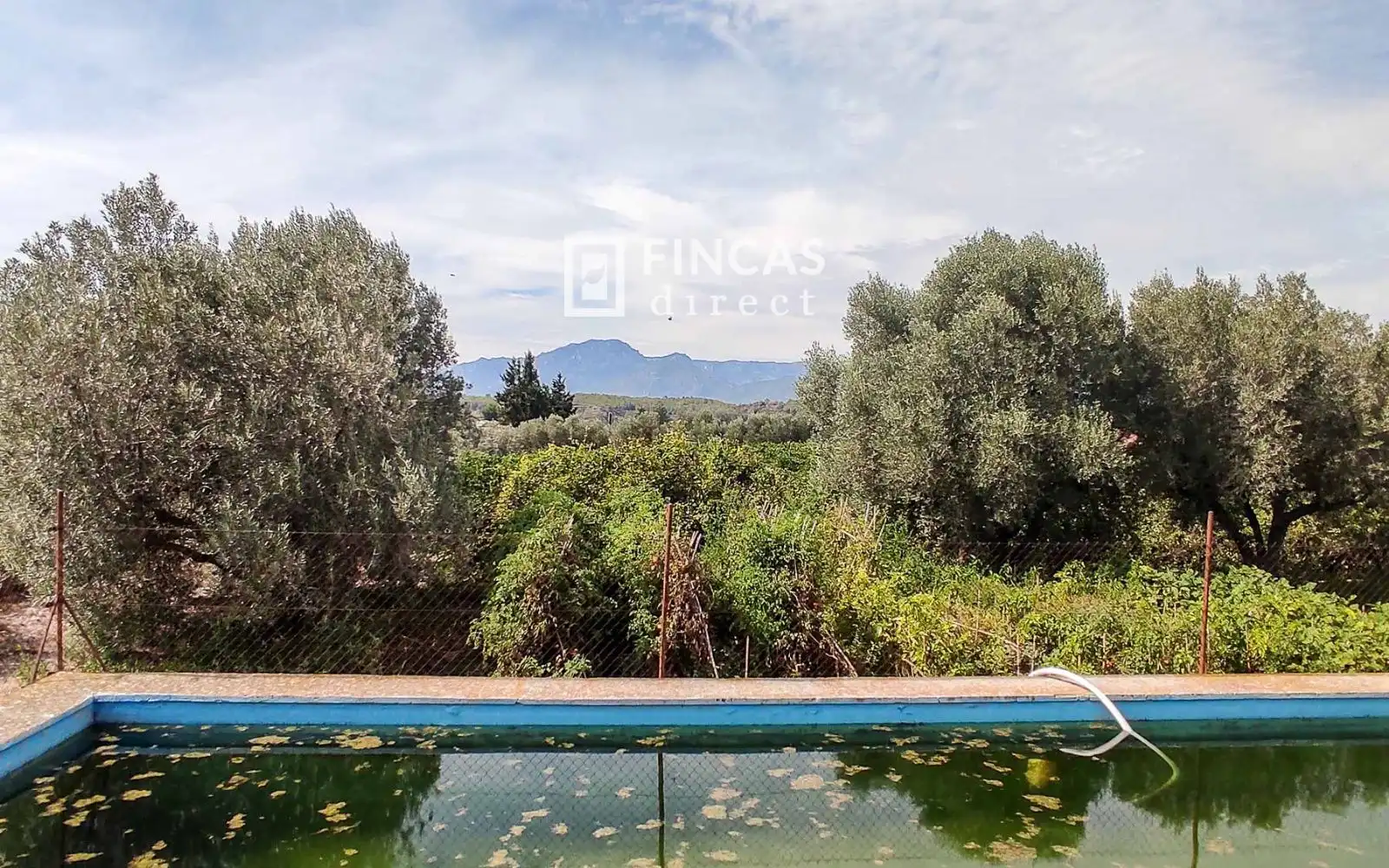 Swimming pool of Country homes for sale in Tortosa  with Heating and Furnished