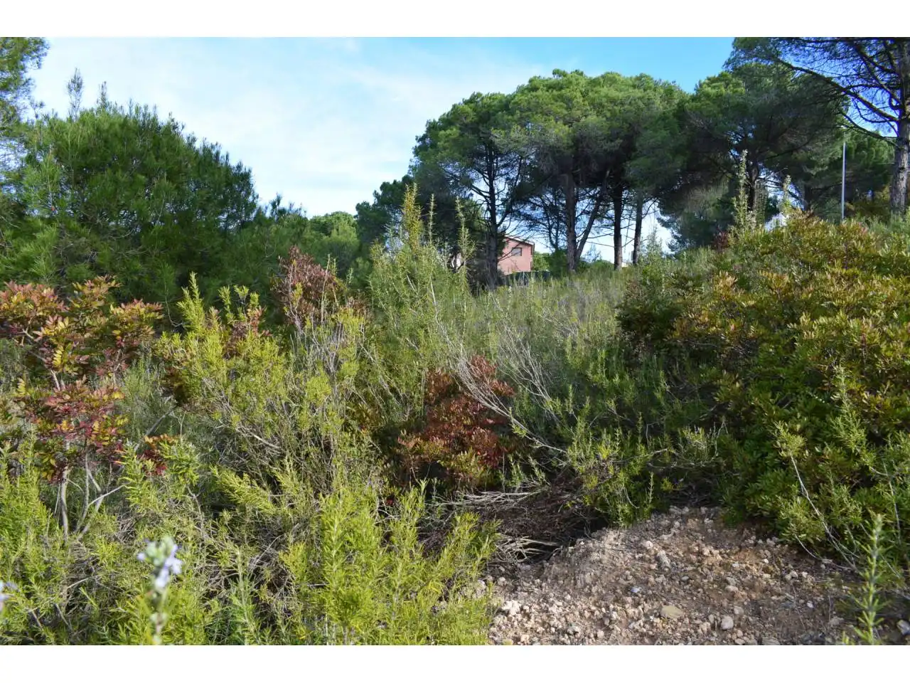 Terreny rústic en venda a Castellnou - Can Mir - Can Solà, imagen 4