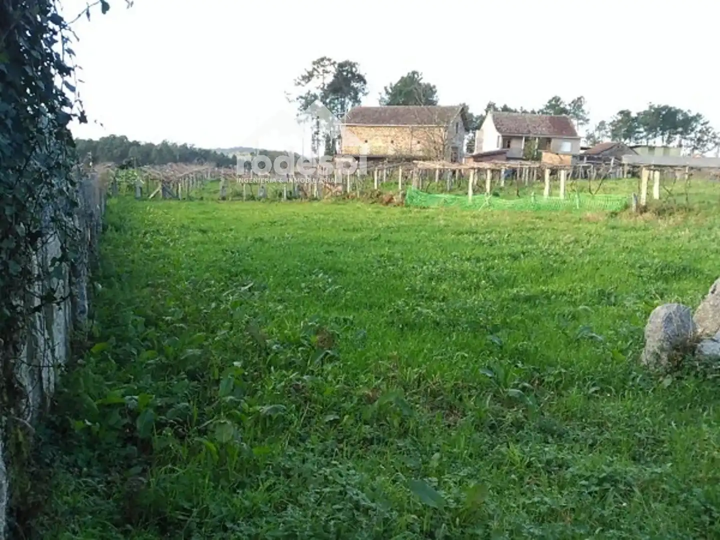 Terrain rustique à vendre à Salvaterra de Miño