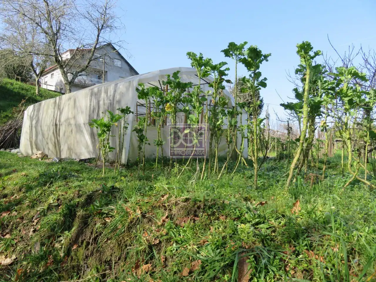 Lands and plots for sale in Mondariz, imagen 13