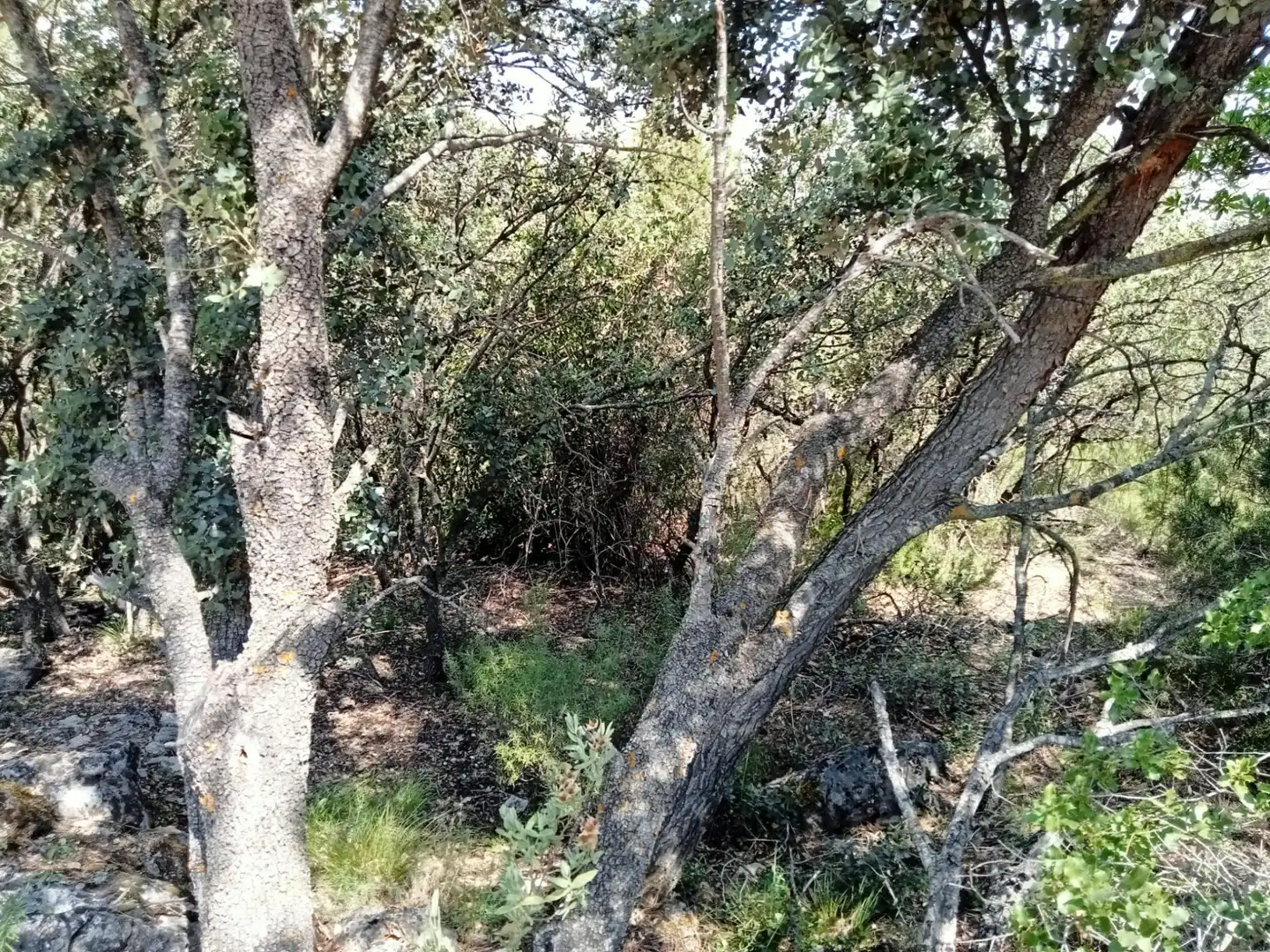 Residential land for sale in Urbanizacion 19119, imagen 3