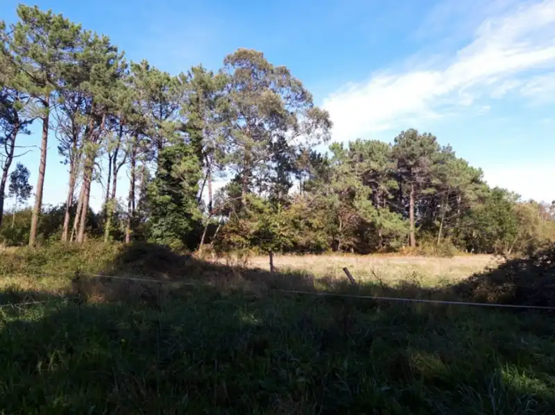 Residencial en venta en OVIÑANA Polígono 13 Parcela , Cudillero