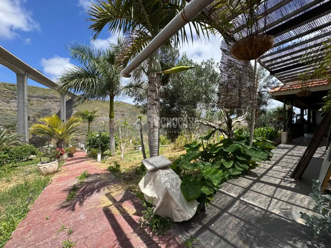 Jardí de Finca rústica en venda en Las Palmas de Gran Canaria amb Terrassa i Moblat