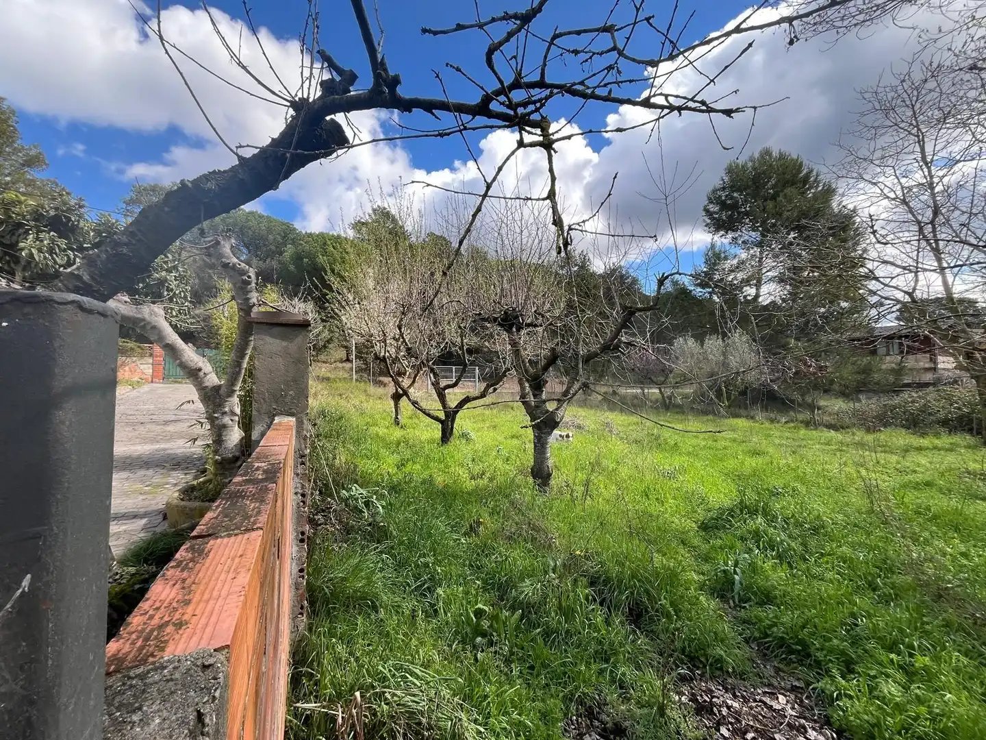 Terreno residencial en venta en El Bruc, imagen 10