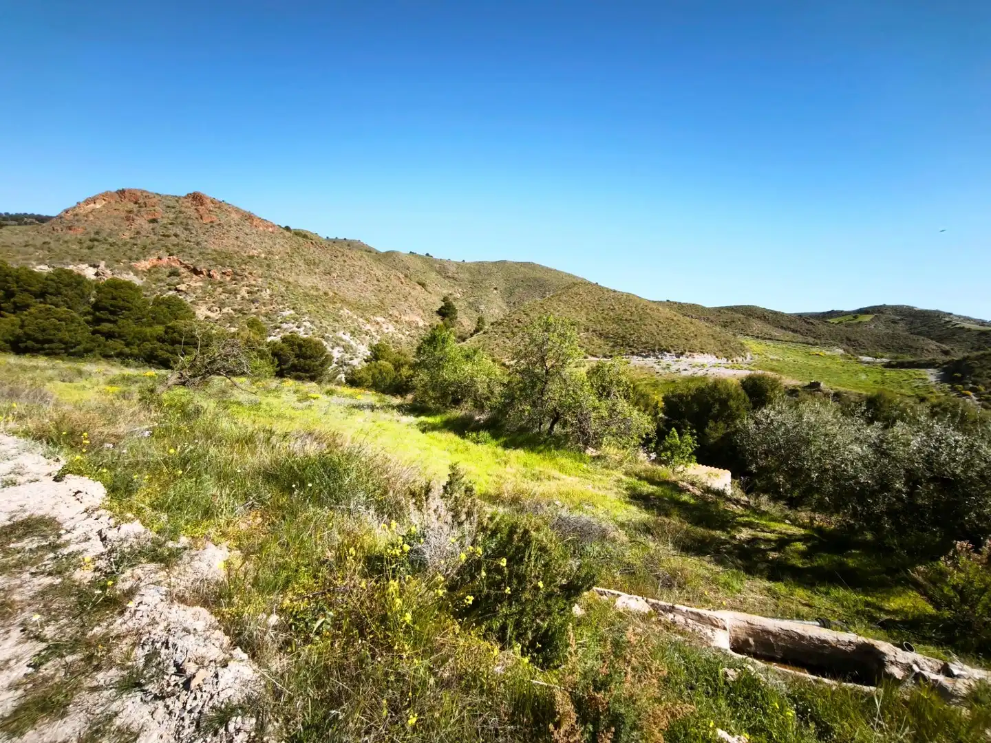 Terrains et parcelles à vendre à MORATA, imagen 35