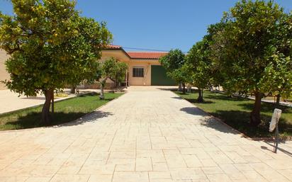 Vista exterior de Casa o xalet en venda en Elche / Elx