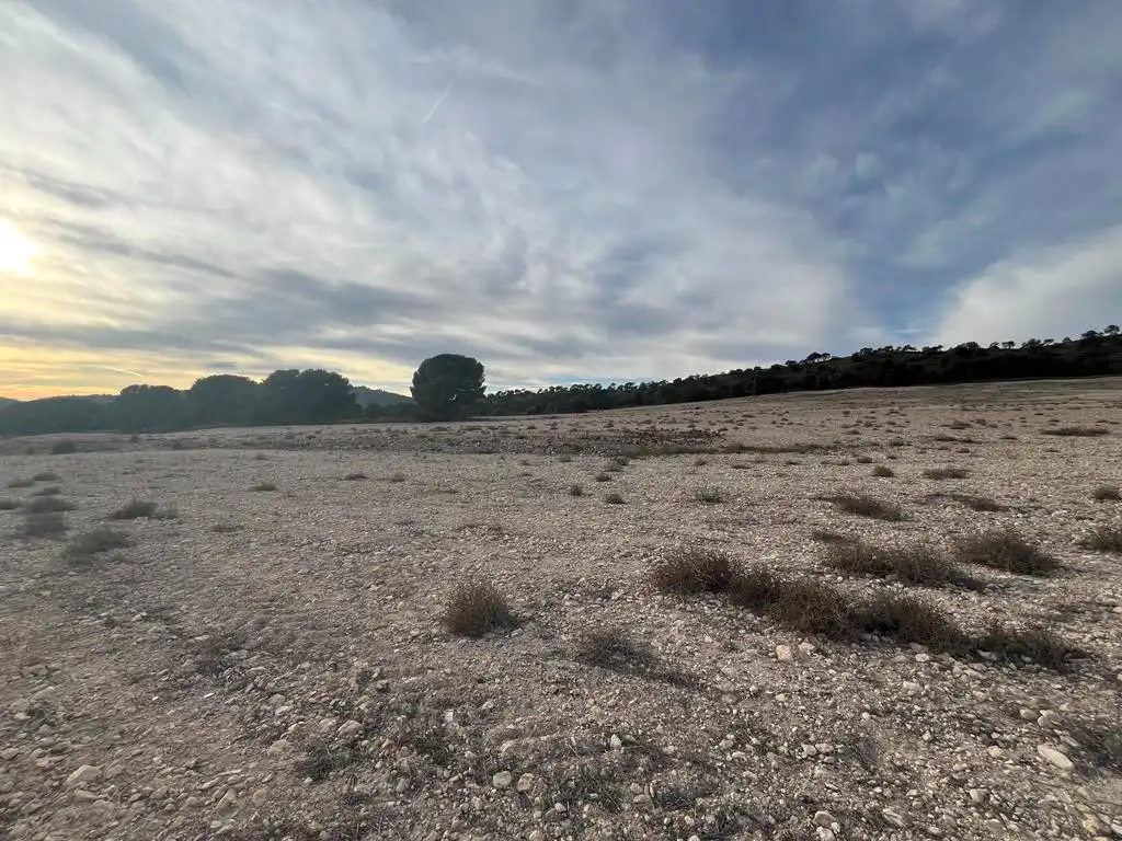 Terrenos y solares en venta en Hellín, imagen 9