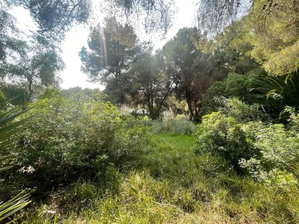 Residential zum Verkauf in Alcúdia