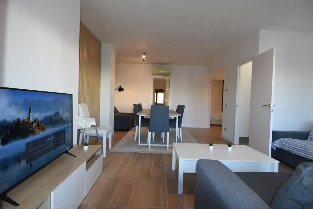 Sala d'estar de Pis de lloguer en Girona amb Aire condicionat, Calefacció i Terrassa