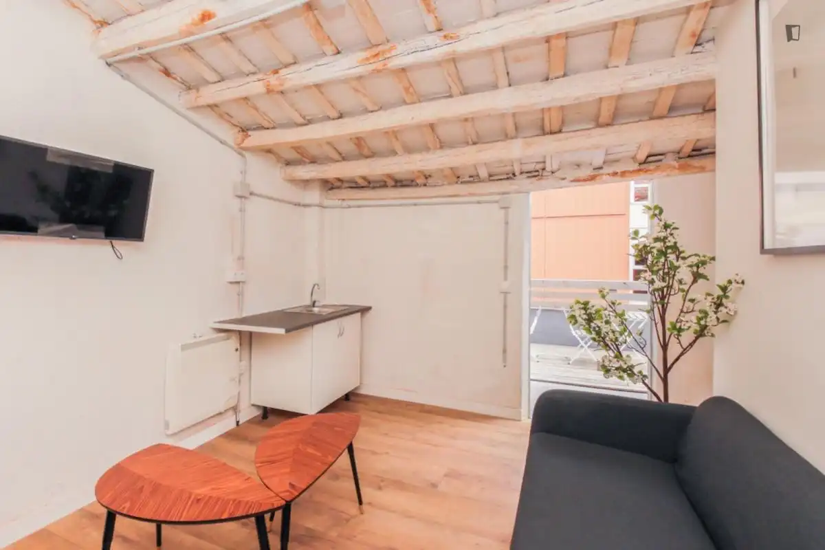 Room in Centre